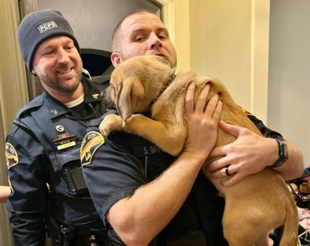 Police Officer Saves Puppy