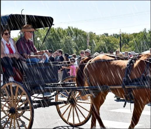 Horse & Buggy