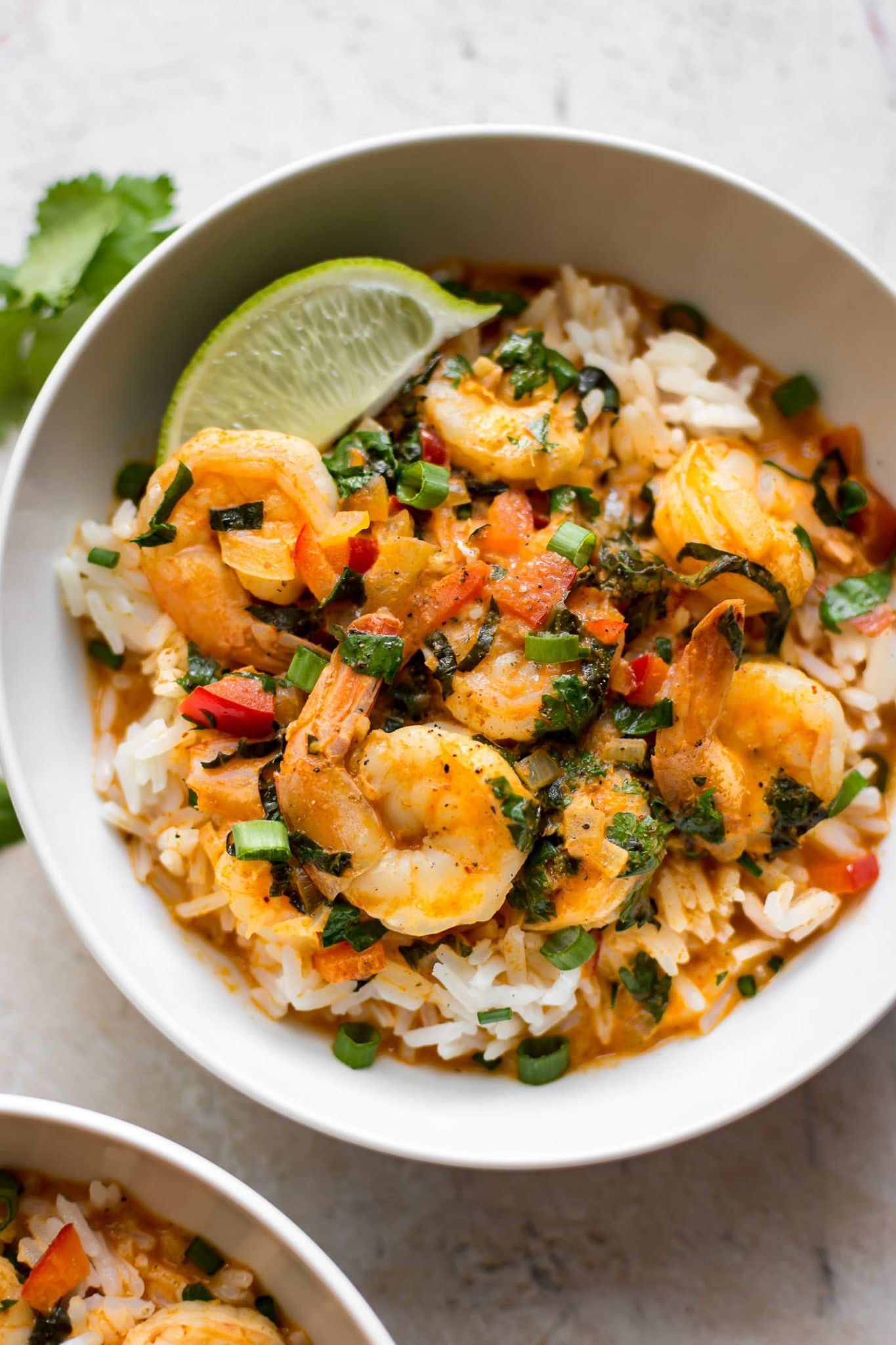 Shrimp Curry