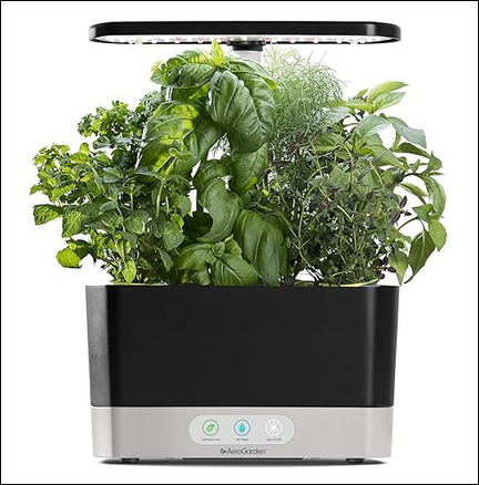 Indoor Herb Garden