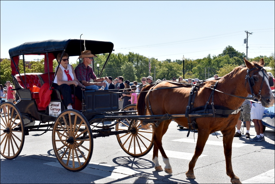 Image of Horse and Carriage