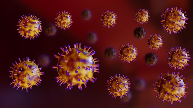 Viruses