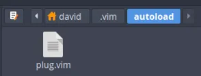Typst VIM Plugin
