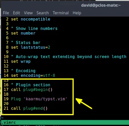 Typst VIM Plugin