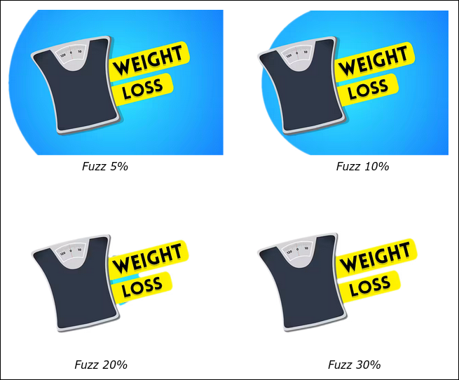 Transparency Script